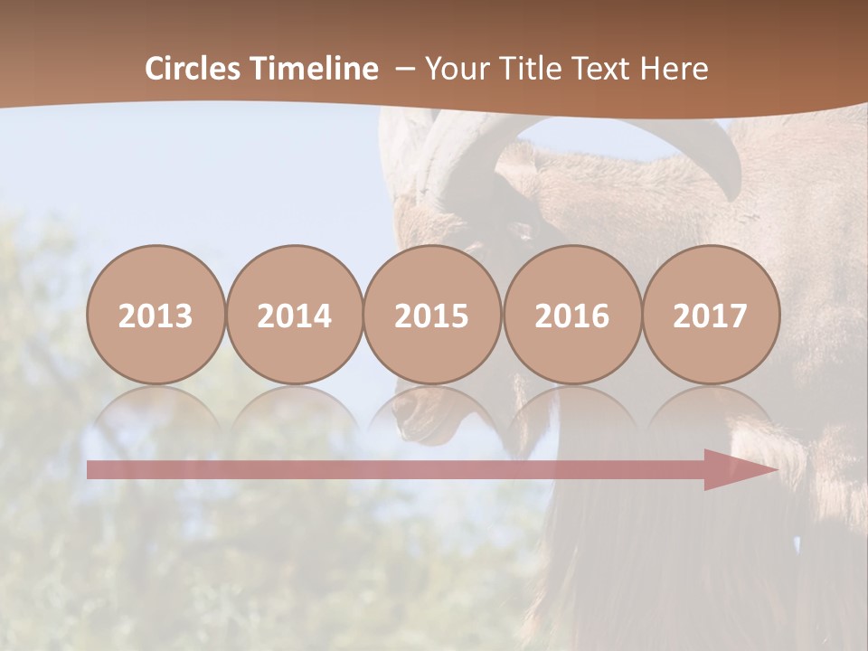 Waddan Sheep Artiodactyla PowerPoint Template