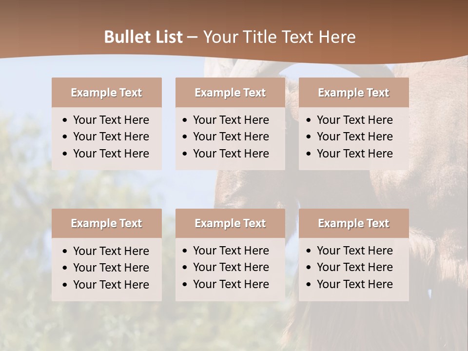 Waddan Sheep Artiodactyla PowerPoint Template