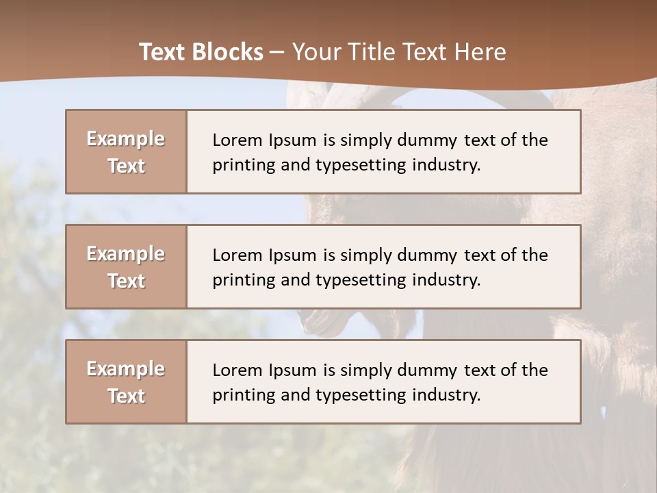 Waddan Sheep Artiodactyla PowerPoint Template