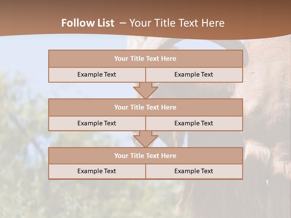Waddan Sheep Artiodactyla PowerPoint Template