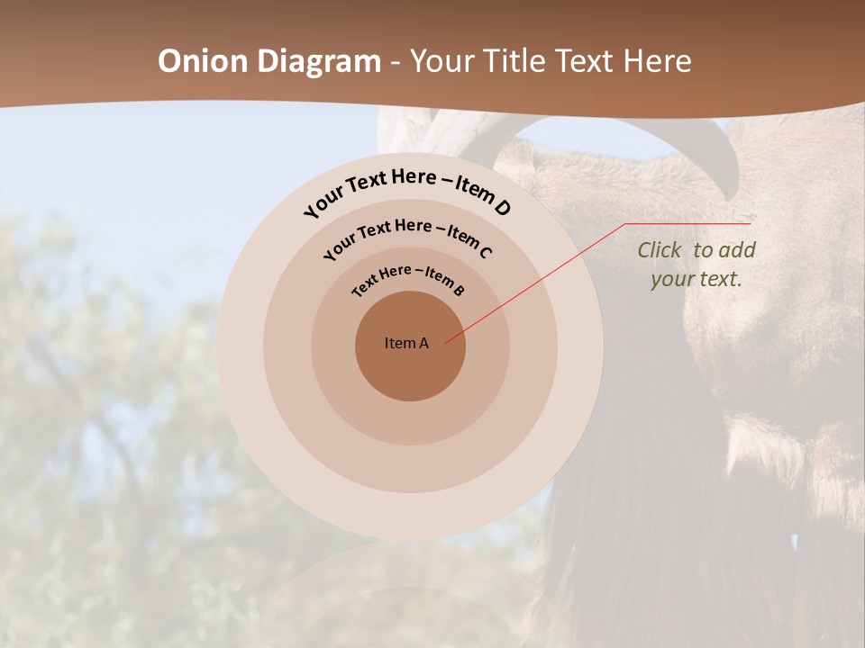 Waddan Sheep Artiodactyla PowerPoint Template