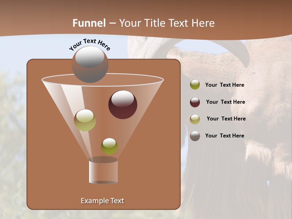 Waddan Sheep Artiodactyla PowerPoint Template