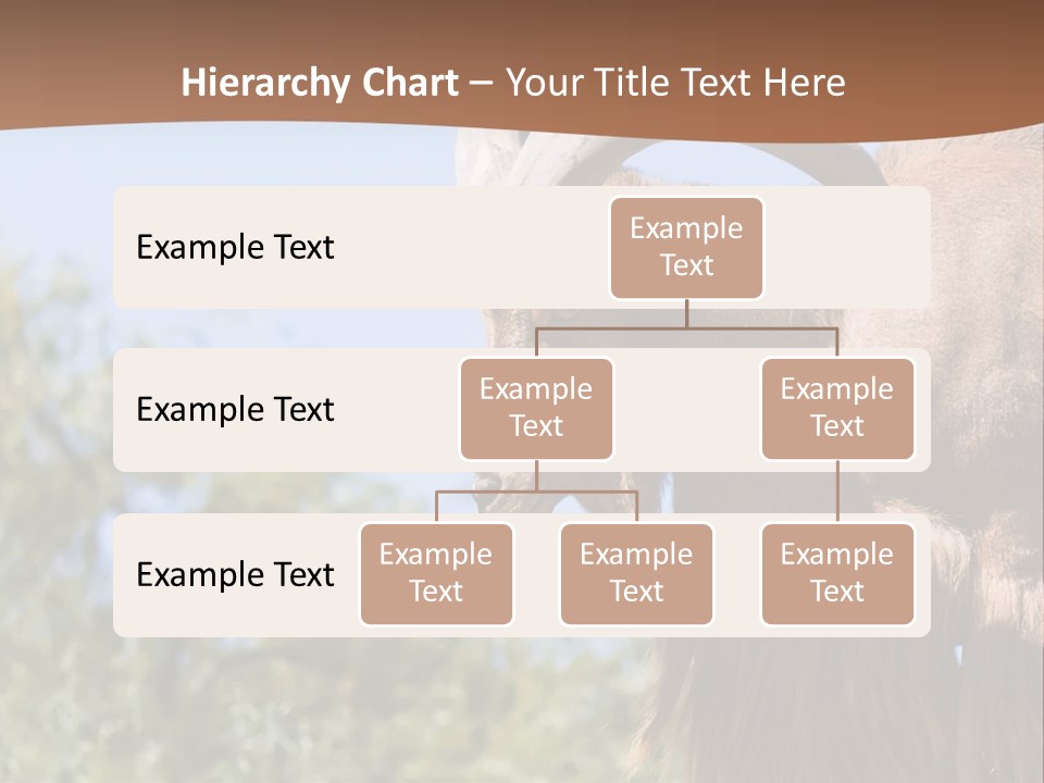 Waddan Sheep Artiodactyla PowerPoint Template