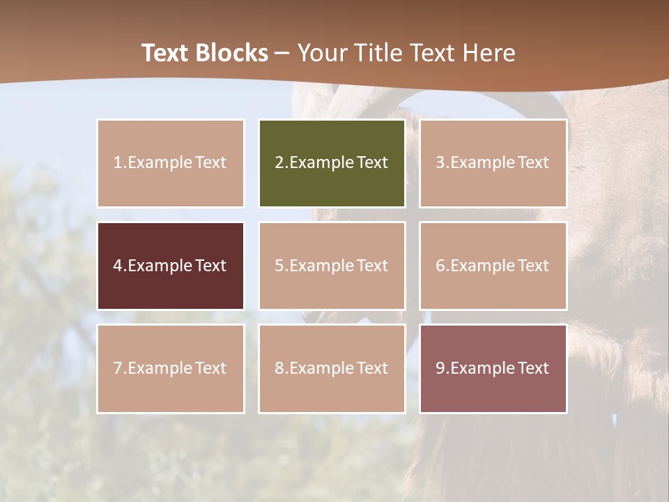 Waddan Sheep Artiodactyla PowerPoint Template