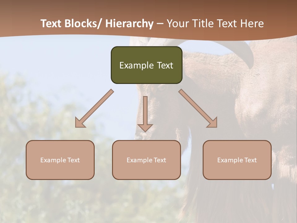 Waddan Sheep Artiodactyla PowerPoint Template