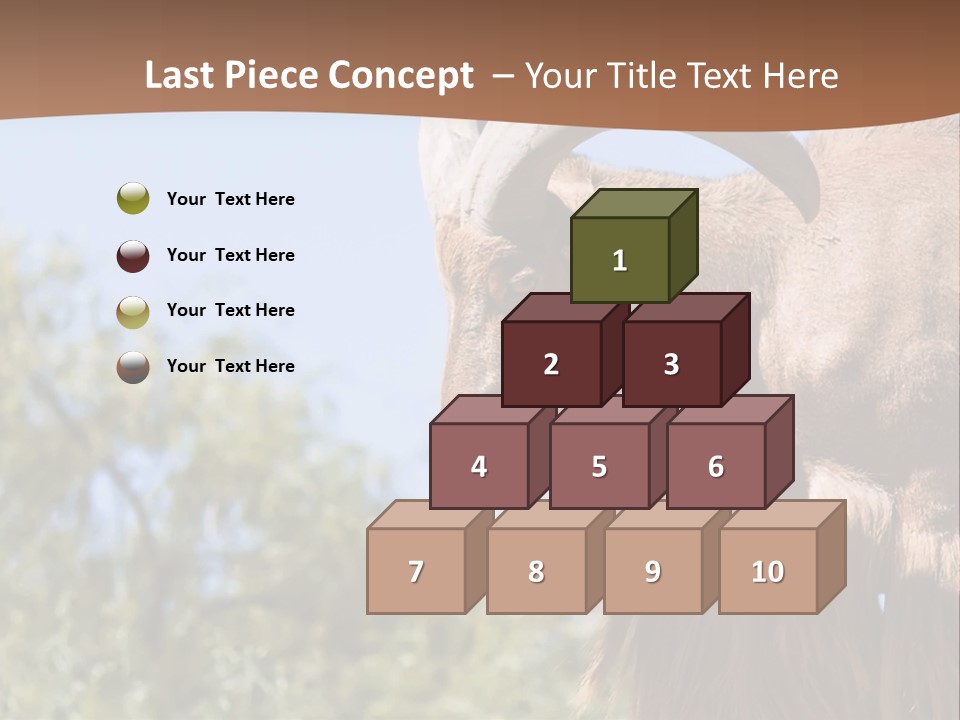 Waddan Sheep Artiodactyla PowerPoint Template