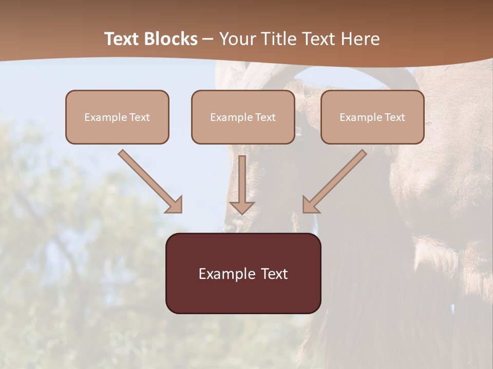 Waddan Sheep Artiodactyla PowerPoint Template