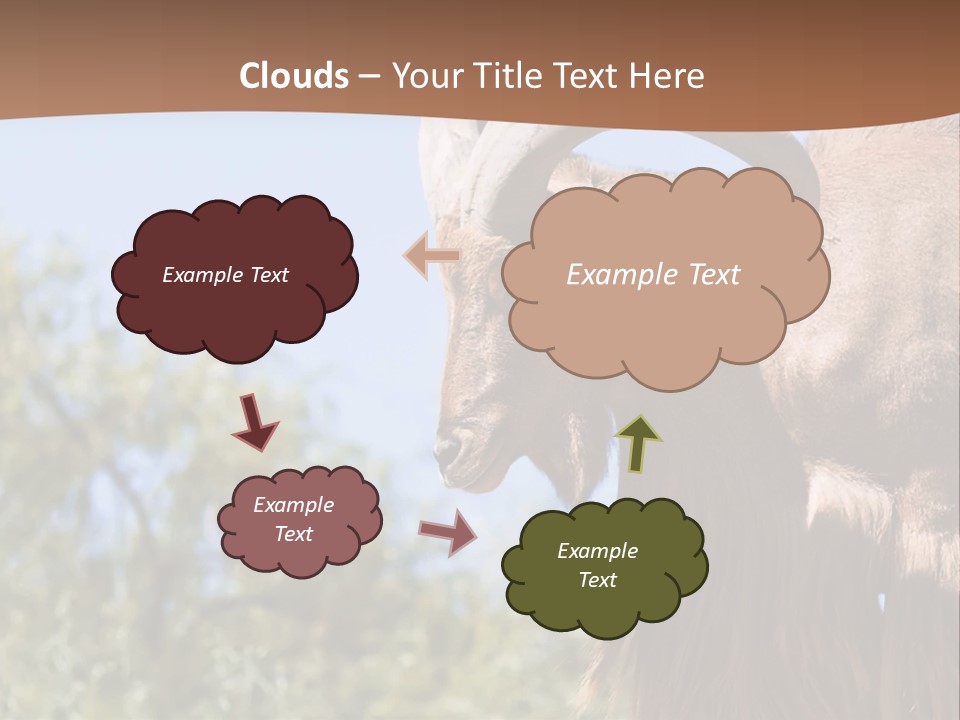 Waddan Sheep Artiodactyla PowerPoint Template