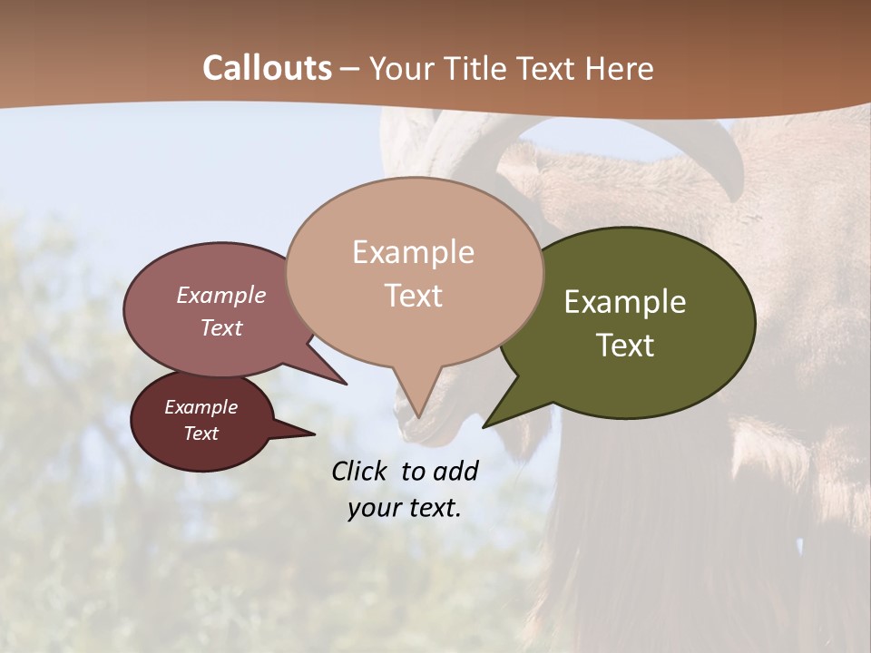 Waddan Sheep Artiodactyla PowerPoint Template