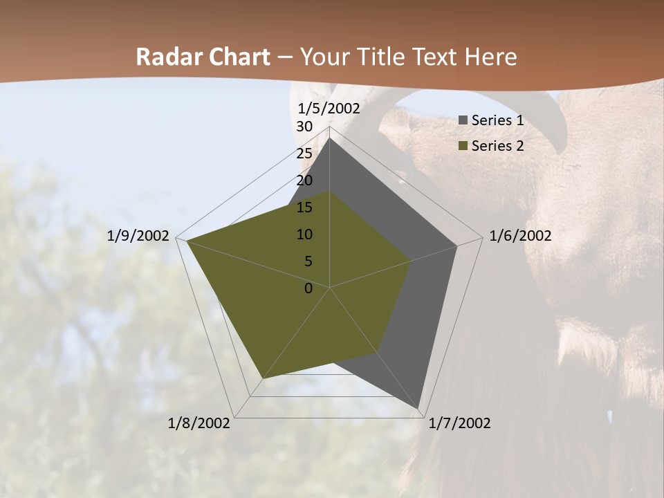 Waddan Sheep Artiodactyla PowerPoint Template