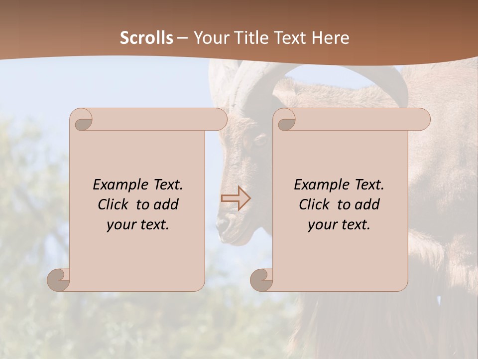 Waddan Sheep Artiodactyla PowerPoint Template