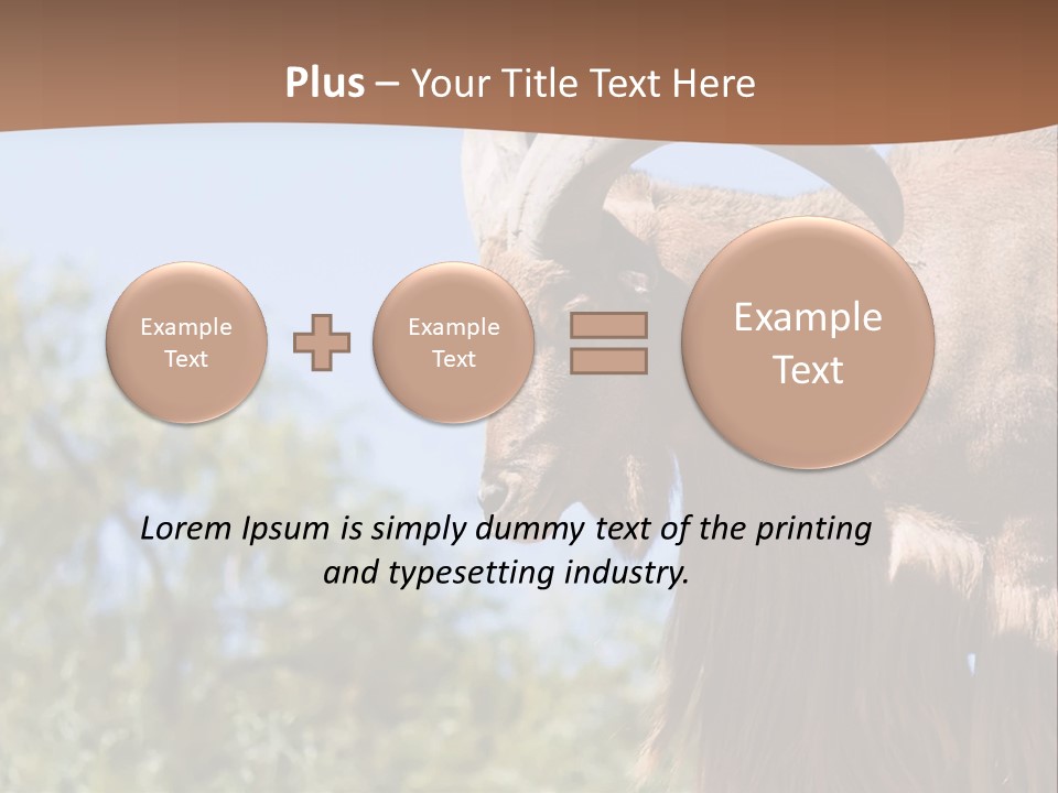 Waddan Sheep Artiodactyla PowerPoint Template