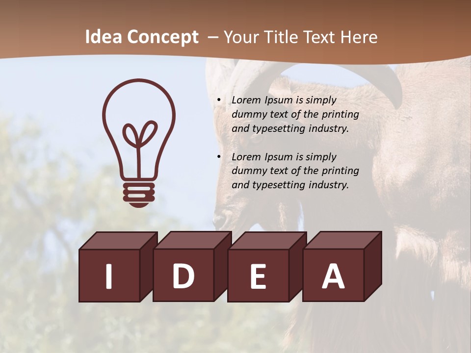 Waddan Sheep Artiodactyla PowerPoint Template