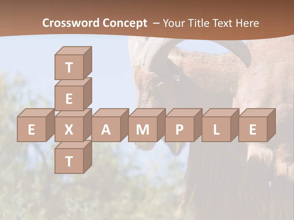 Waddan Sheep Artiodactyla PowerPoint Template