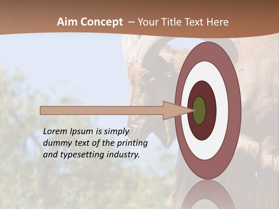 Waddan Sheep Artiodactyla PowerPoint Template