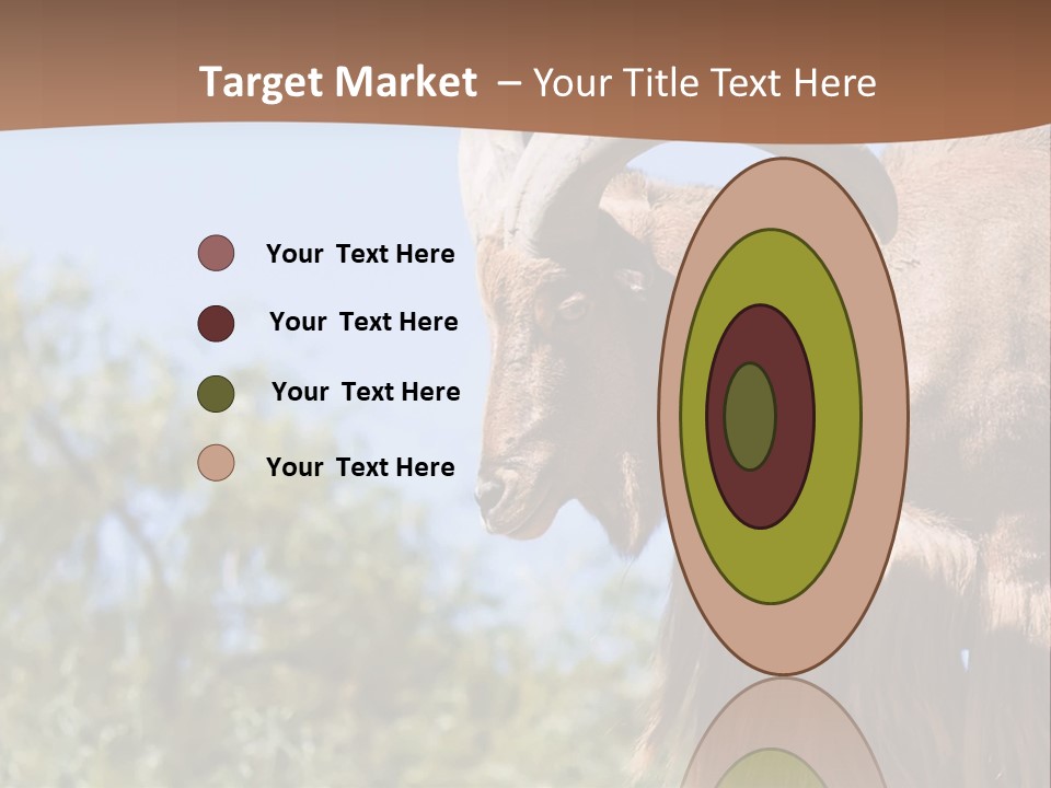 Waddan Sheep Artiodactyla PowerPoint Template