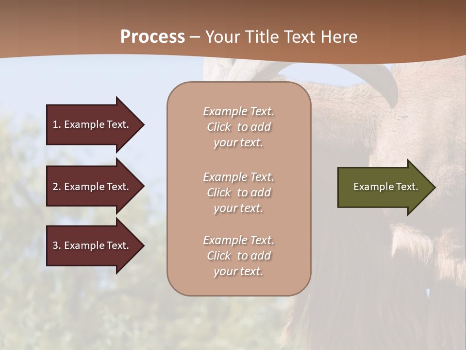 Waddan Sheep Artiodactyla PowerPoint Template
