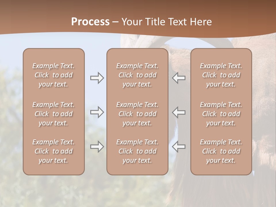 Waddan Sheep Artiodactyla PowerPoint Template