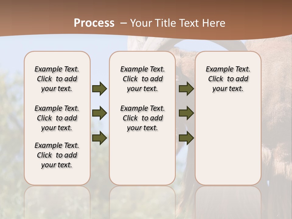 Waddan Sheep Artiodactyla PowerPoint Template