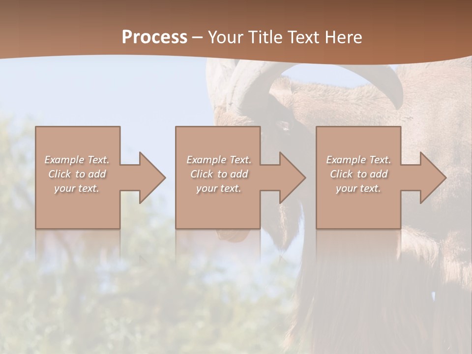 Waddan Sheep Artiodactyla PowerPoint Template