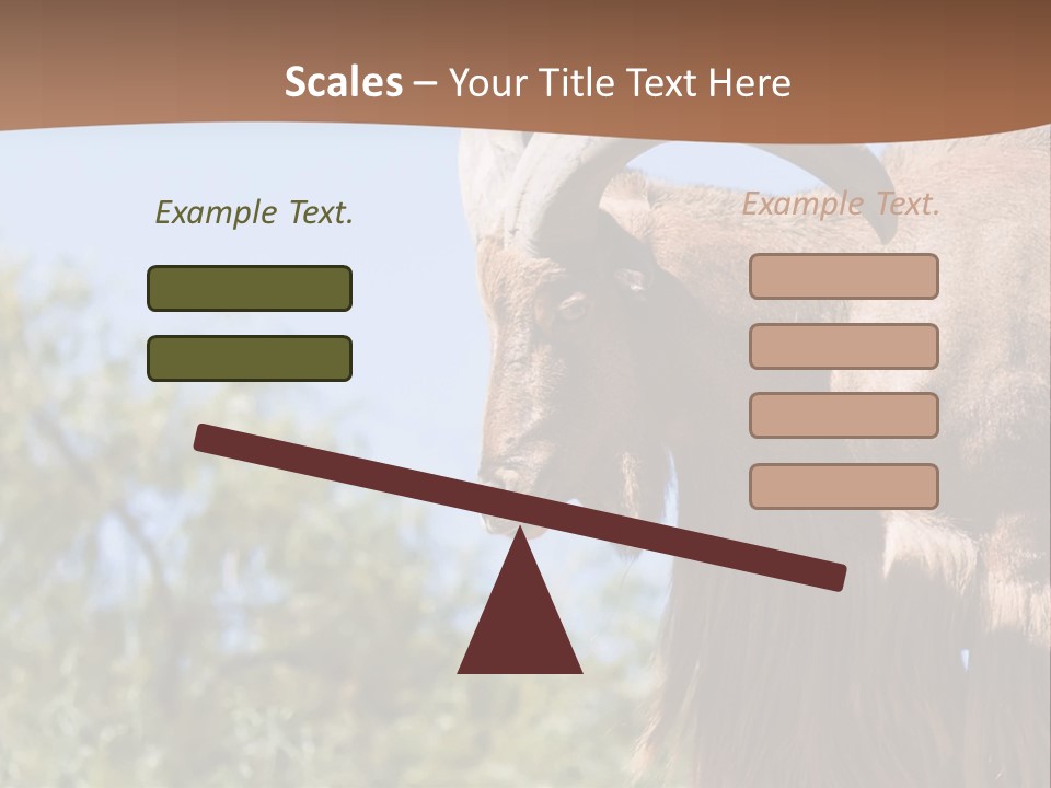Waddan Sheep Artiodactyla PowerPoint Template