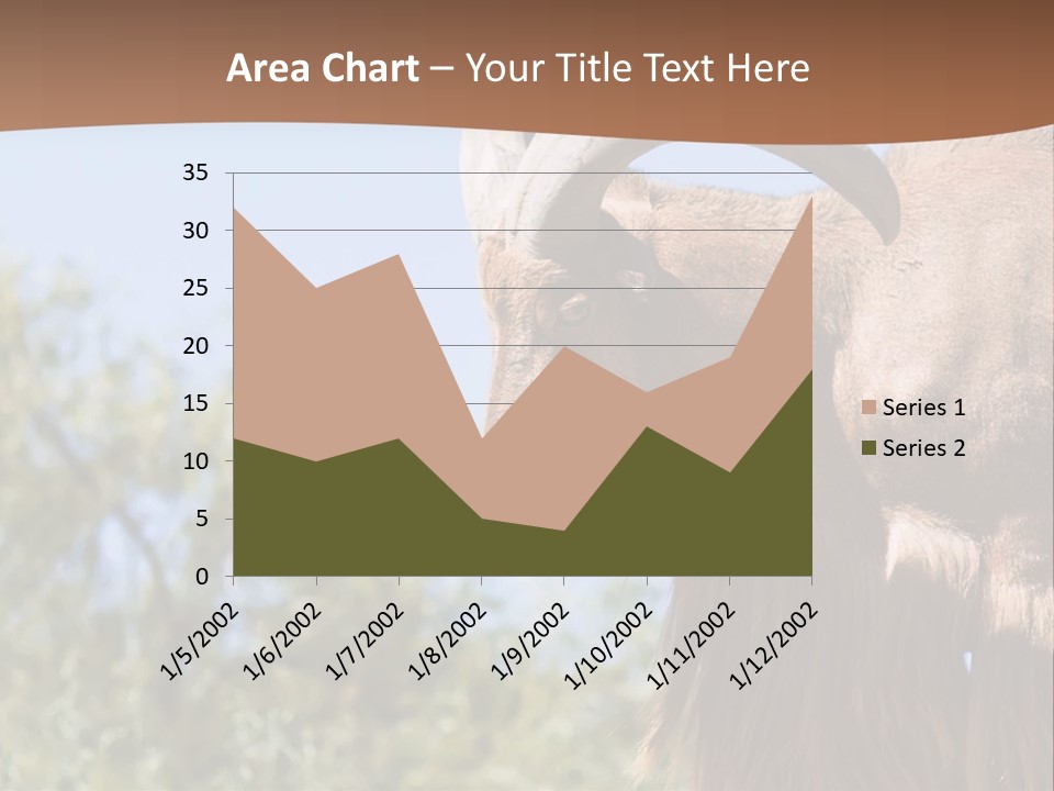 Waddan Sheep Artiodactyla PowerPoint Template