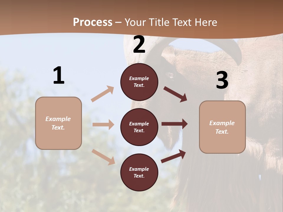 Waddan Sheep Artiodactyla PowerPoint Template