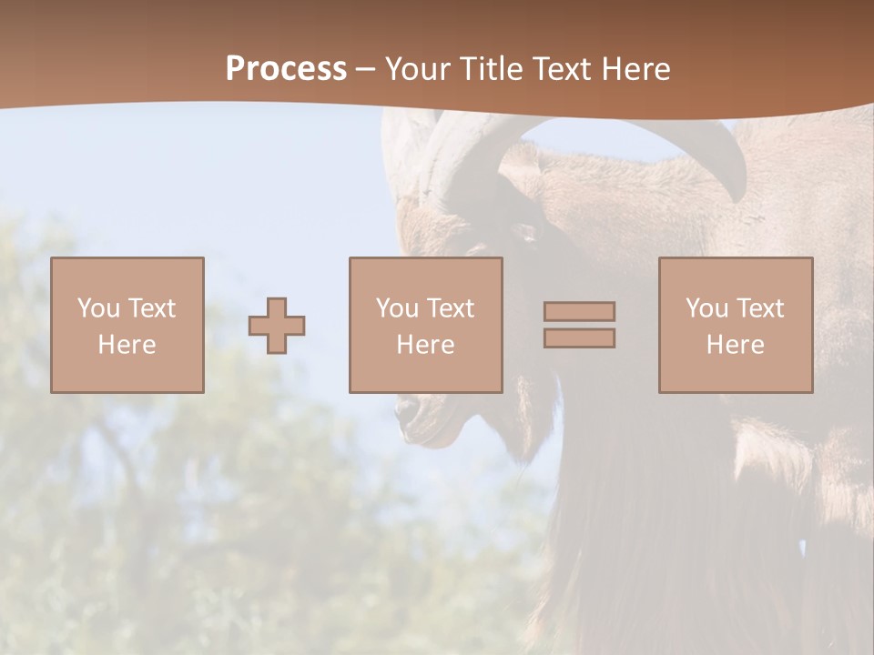 Waddan Sheep Artiodactyla PowerPoint Template