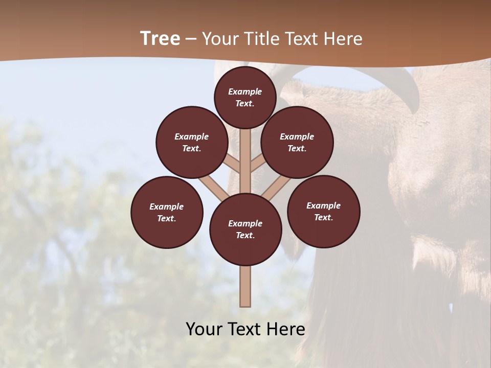 Waddan Sheep Artiodactyla PowerPoint Template