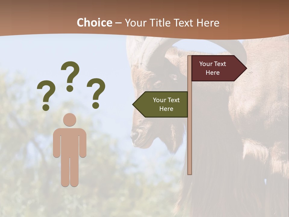 Waddan Sheep Artiodactyla PowerPoint Template