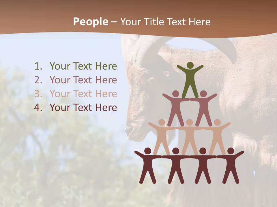 Waddan Sheep Artiodactyla PowerPoint Template