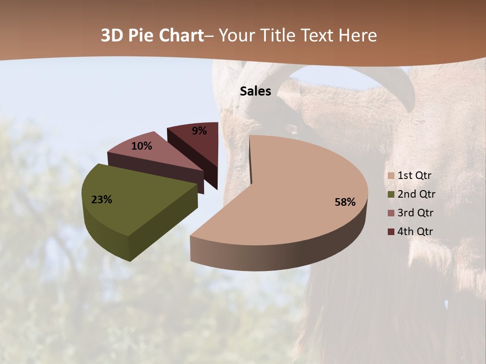 Waddan Sheep Artiodactyla PowerPoint Template