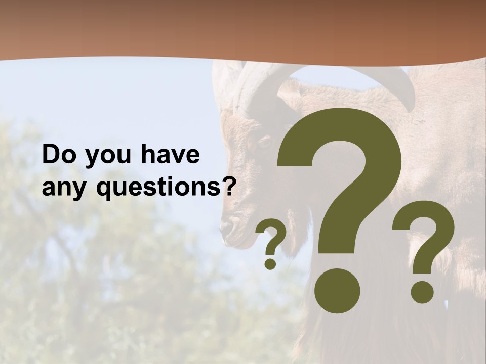 Waddan Sheep Artiodactyla PowerPoint Template