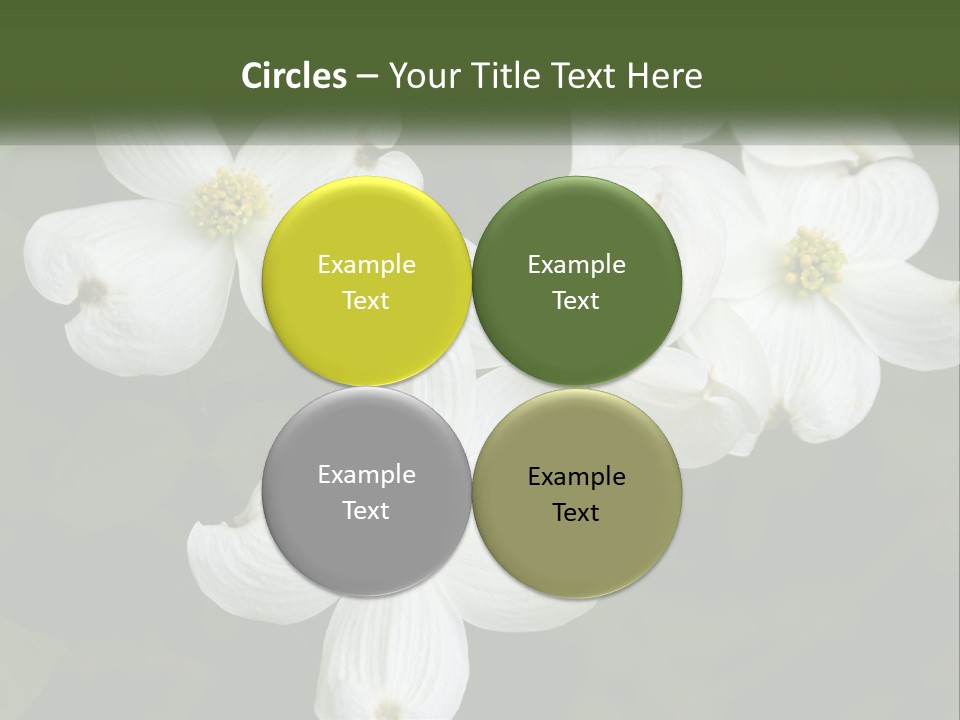 Landscape Deciduous Landscaping PowerPoint Template