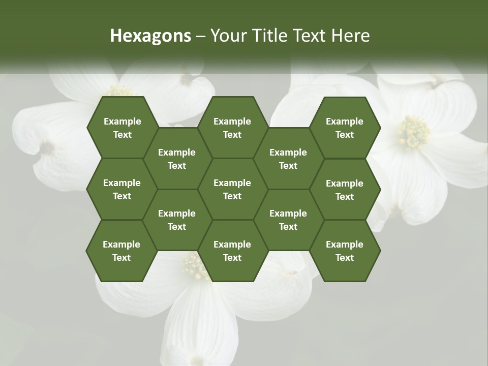 Landscape Deciduous Landscaping PowerPoint Template