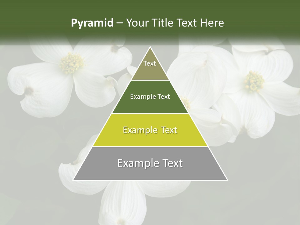 Landscape Deciduous Landscaping PowerPoint Template
