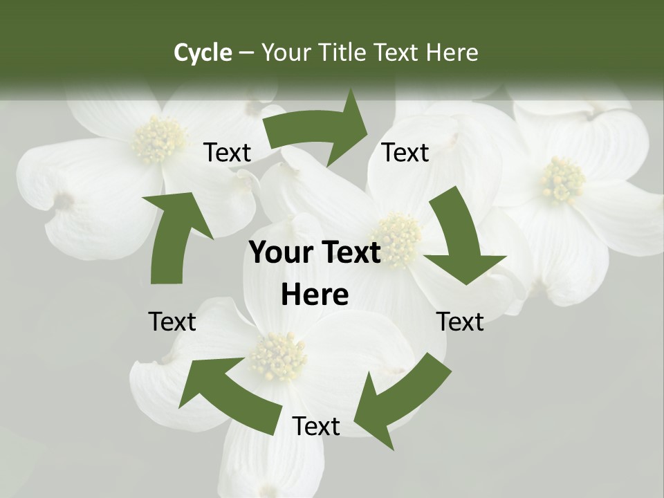 Landscape Deciduous Landscaping PowerPoint Template