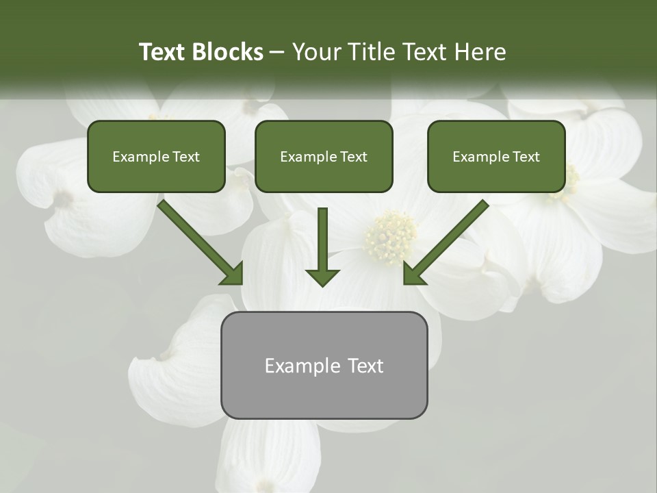 Landscape Deciduous Landscaping PowerPoint Template