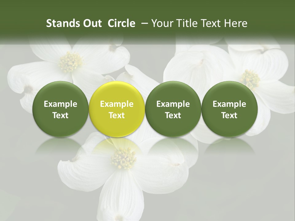 Landscape Deciduous Landscaping PowerPoint Template