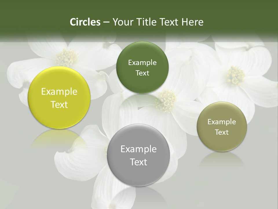 Landscape Deciduous Landscaping PowerPoint Template