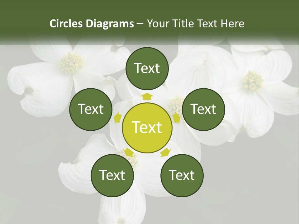 Landscape Deciduous Landscaping PowerPoint Template