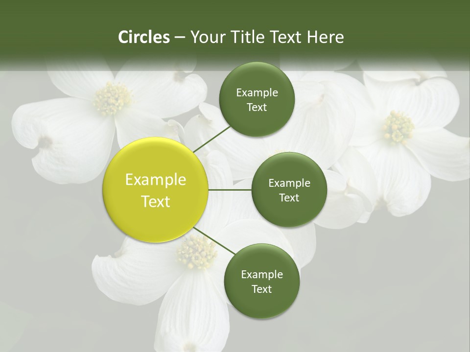 Landscape Deciduous Landscaping PowerPoint Template