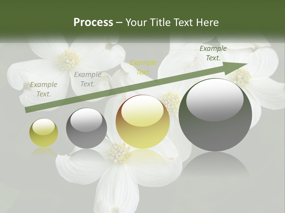 Landscape Deciduous Landscaping PowerPoint Template