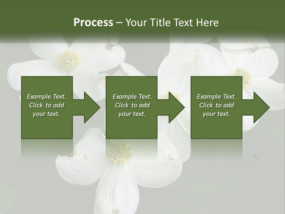 Landscape Deciduous Landscaping PowerPoint Template