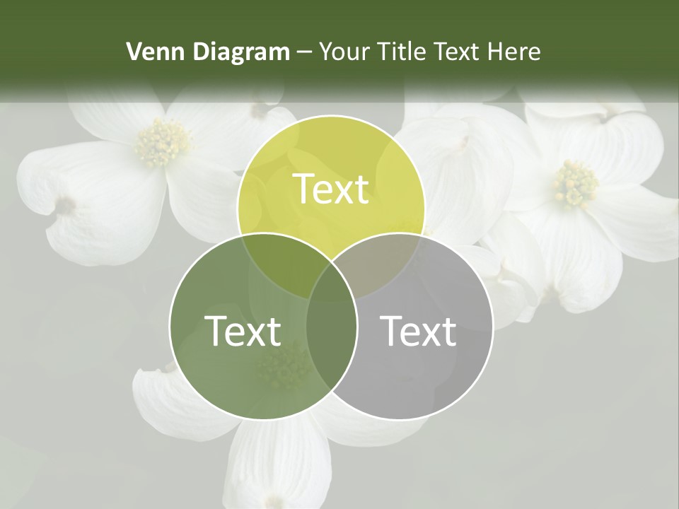 Landscape Deciduous Landscaping PowerPoint Template