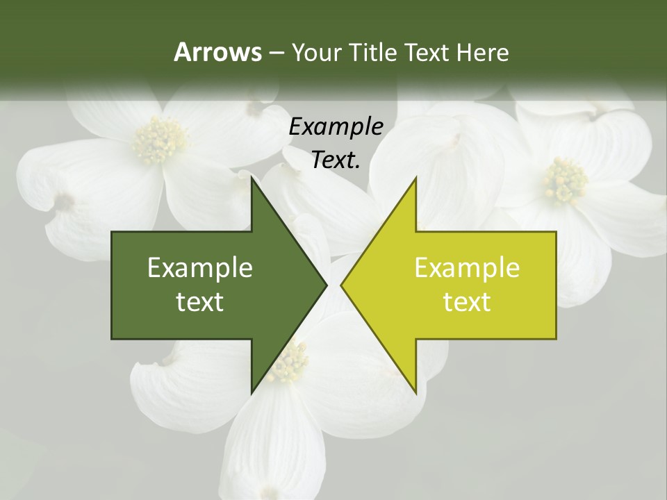Landscape Deciduous Landscaping PowerPoint Template