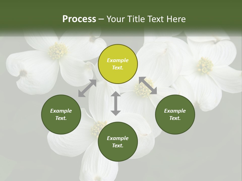 Landscape Deciduous Landscaping PowerPoint Template