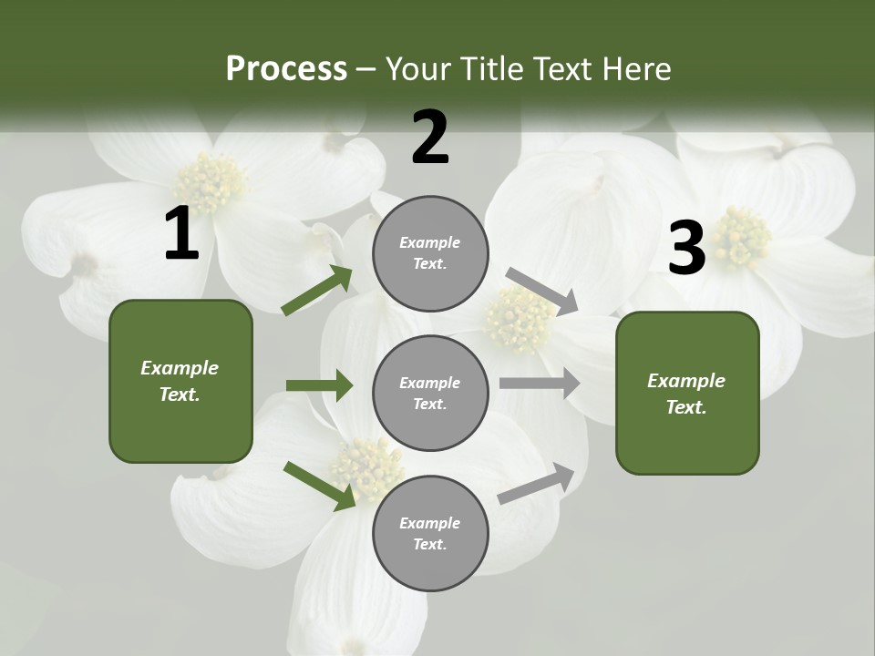 Landscape Deciduous Landscaping PowerPoint Template