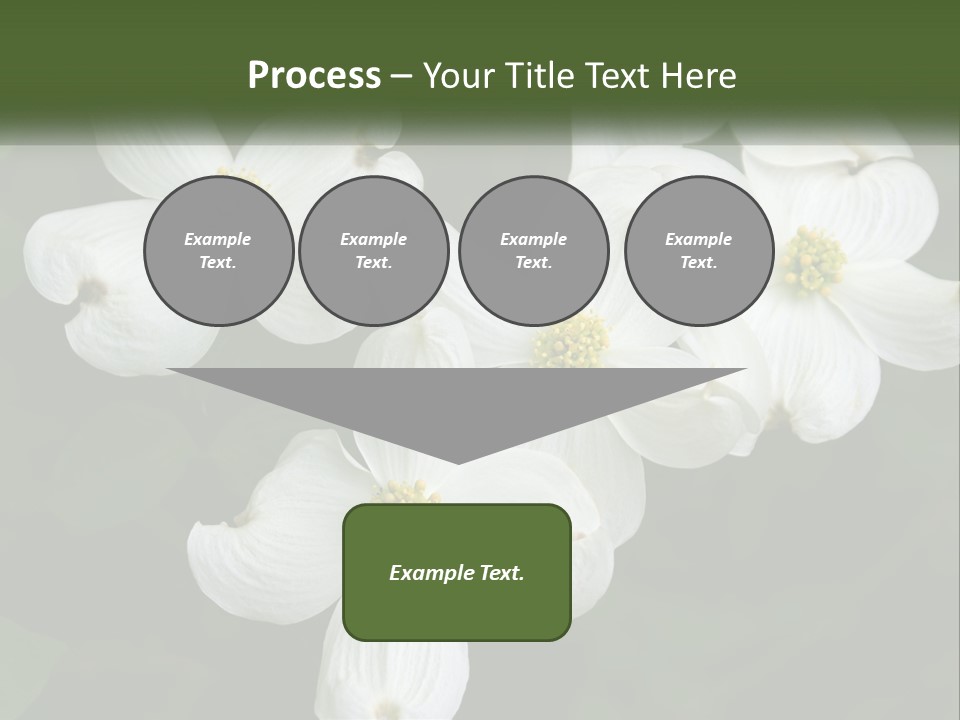 Landscape Deciduous Landscaping PowerPoint Template