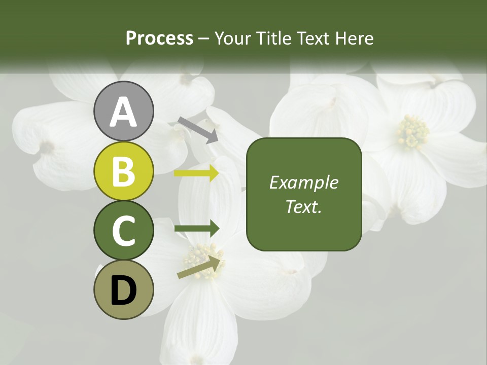 Landscape Deciduous Landscaping PowerPoint Template
